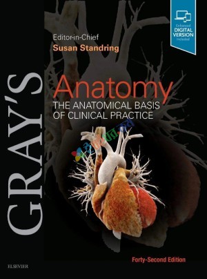 Gray’s Anatomy The Anatomical Basis of Clinical Practice Volume 1-4 (Color)