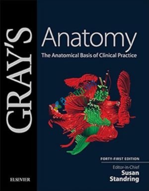 Gray's Anatomy (Color)