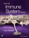 How the Immune System Works (Color)
