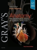 Gray’s Anatomy The Anatomical Basis of Clinical Practice Volume 1-4 (Color)