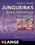 Junqueira's Basic Histology Text and Atlas (Color)