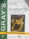 Anatomy The Anatomical Basis of Clinical Practice
