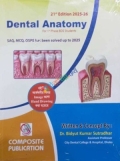 Composite Dental Anatomy