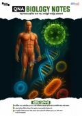 QNA বায়োলজি নোটস