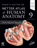Netter Atlas of Human Anatomy Classic Regional Approach(Color)
