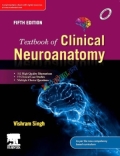 Textbook of Clinical Neuroanatomy (Color)