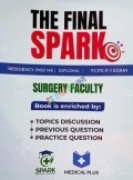 The Final Spark Surgery Faculty